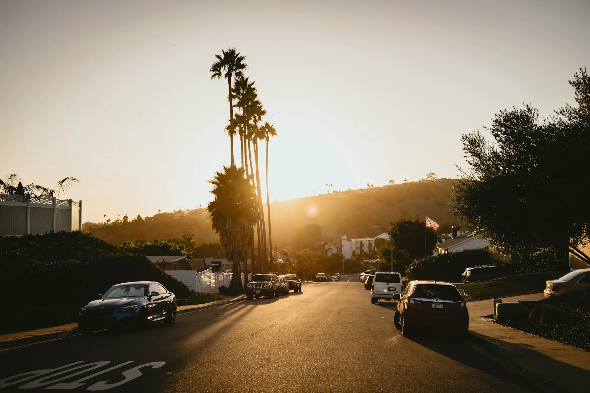 A palm-lined neighborhood street glowing at sunset