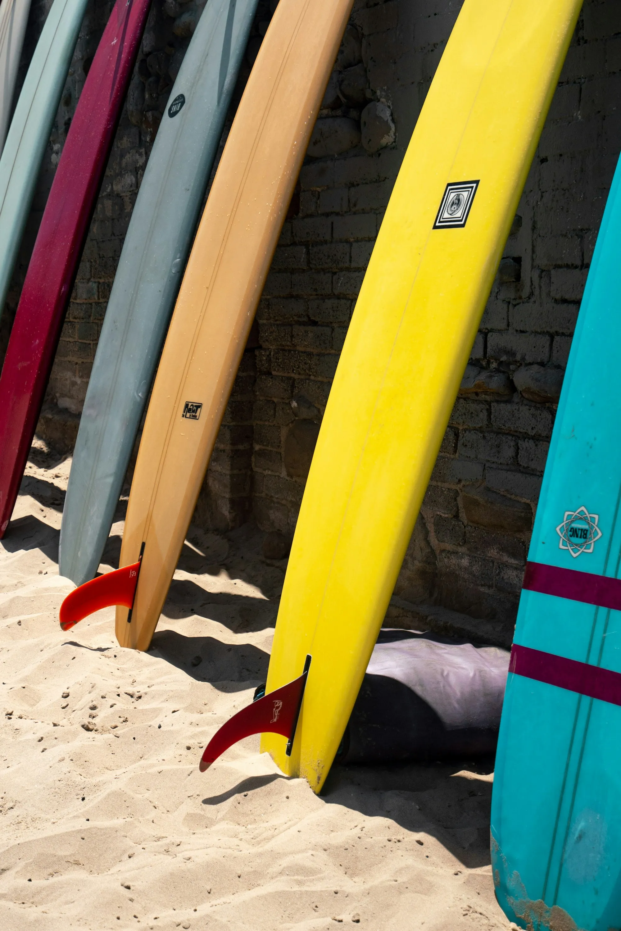A colorful row of surfboards lined up beside the sand